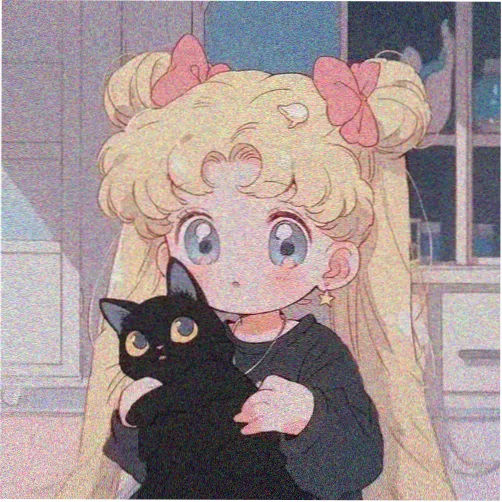 留言观众头像：橘色猫咪